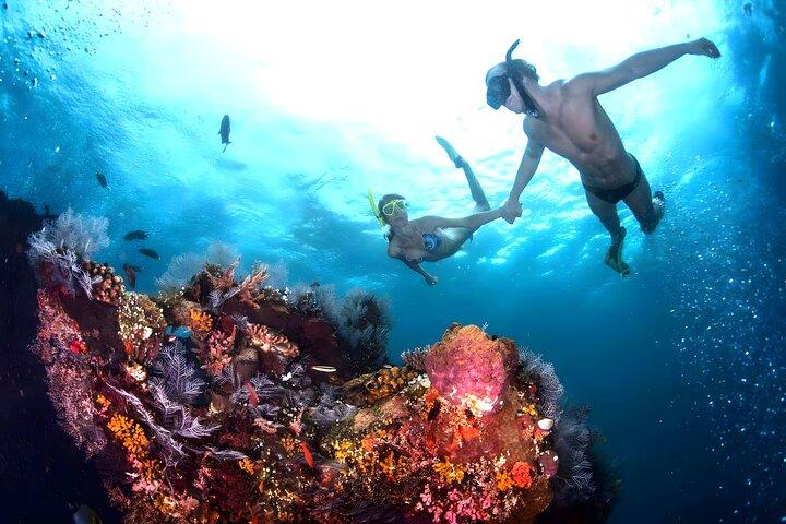 Blue Lagoon Snorkeling - Bali Best Snorkeling Site