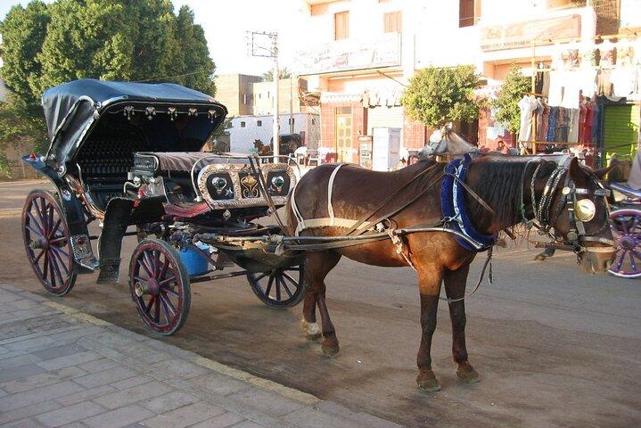 Tour privato in carrozza a cavalli nella città di Assuan