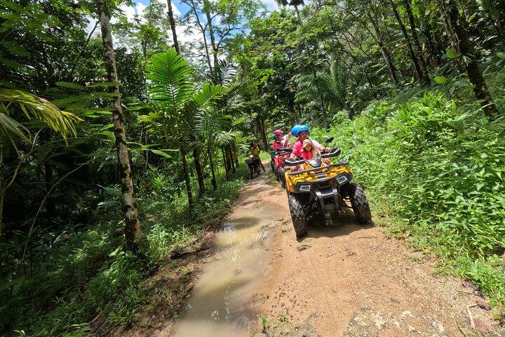2-daags raft-, rit- en reddingsprogramma voor olifanten in Khaolak
