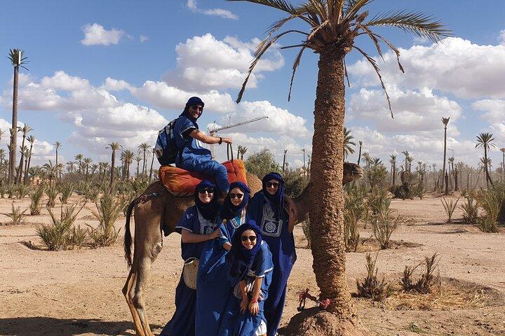 Private Majorel garden and Camel ride