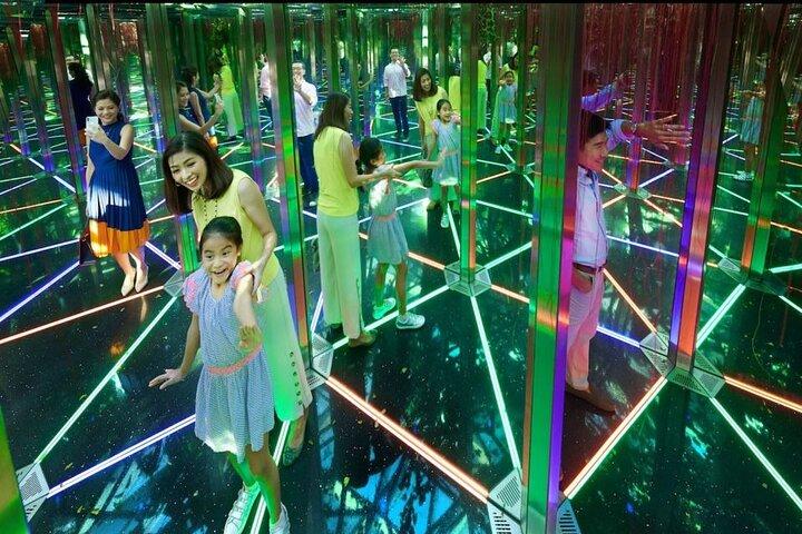 Aéroport Jewel Changi : billet pour Hedge Maze et Canopy Park