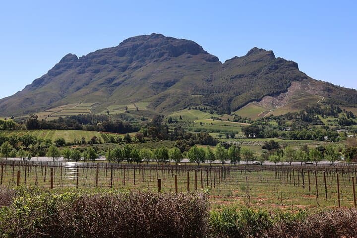 Private Wine Tour Cape Town with Local Guide, Tasting Fees Includ