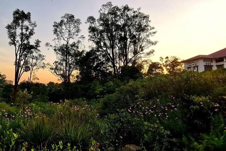 Botanische tuinen en Tiong Bahru-wandeltocht met ontbijt
