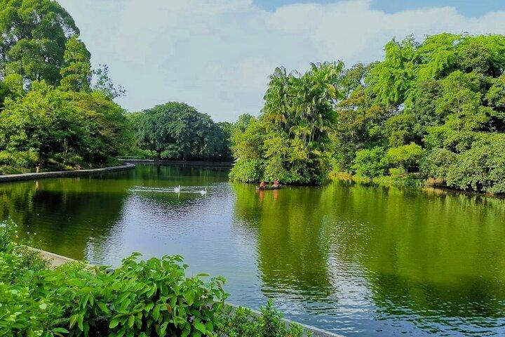Botanische tuinen en Tiong Bahru-wandeltocht met ontbijt
