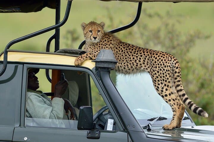 5 Days Across Southern Kenya