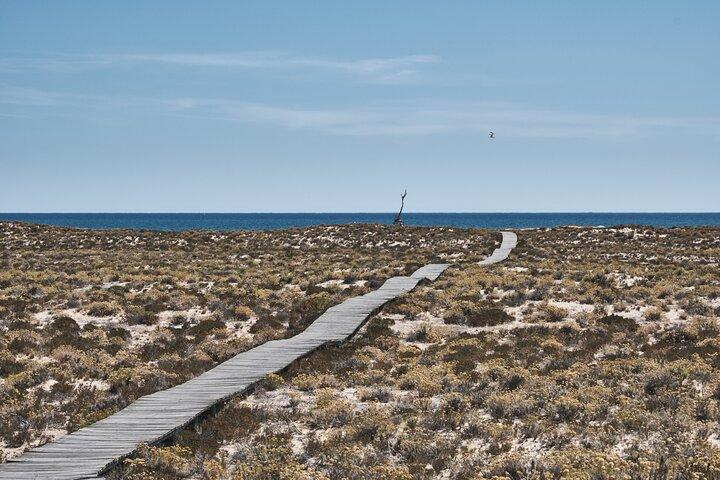 Hop On Hop Off 3 Ilhas: Deserta, Farol e Culatra