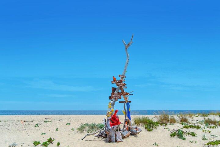Hop On Hop Off 3 Ilhas: Deserta, Farol e Culatra