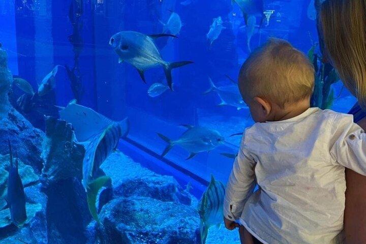 Dubai Aquarium Unterwasser Zoo mit Penguin Cove Eintrittskarten
