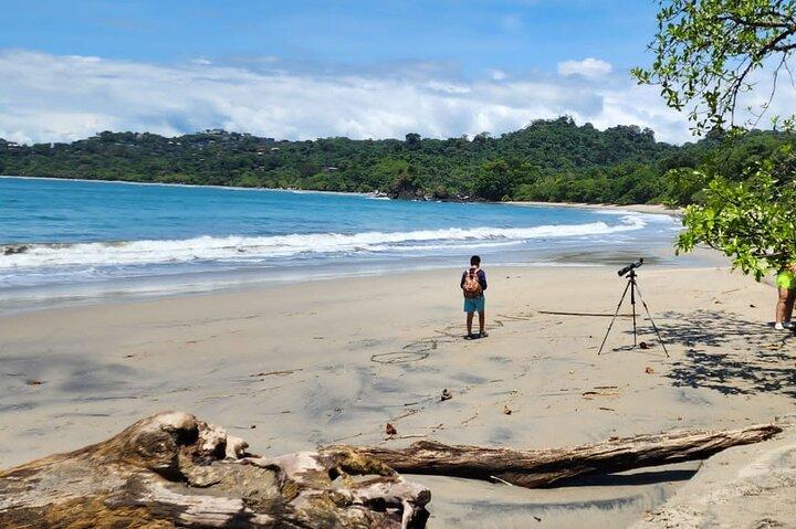 Manuel Antonio Beach & National Park Day Tour from San José