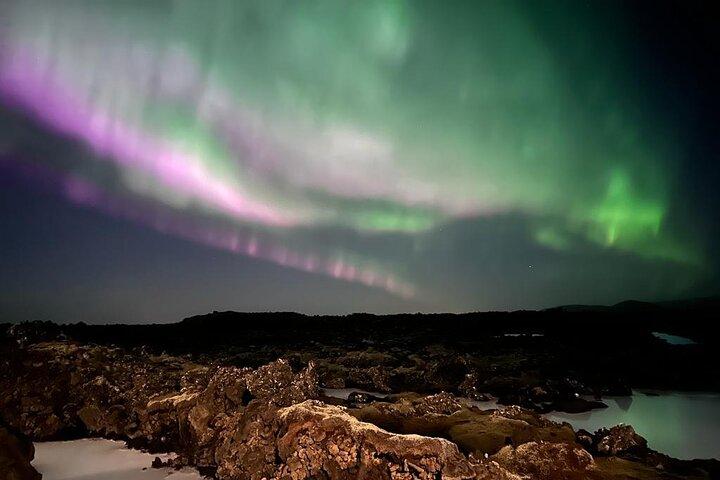 Privat tur jagt efter nordlyset i Reykjavík