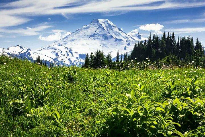 De Seattle - Excursão encantadora pelo Monte Baker e Cascades em SUV