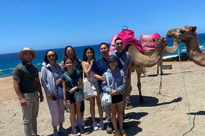 Privétour: dag door Gibraltar en Marokko, Tanger vanuit Sevilla