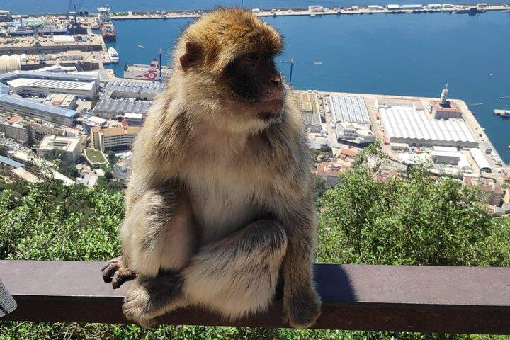 Privat dagstur i Gibraltar og Tanger, Marokko fra Malaga