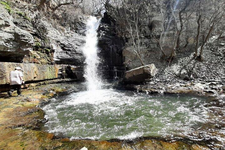 Heldags privat tur til Khosrov Forest State Reserve