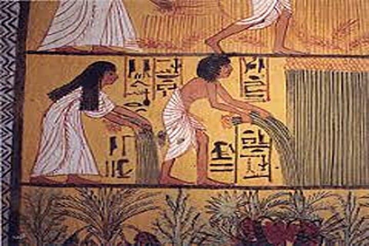 day tour in Luxor west bank, Habu &Deir el Medina, Queens valley