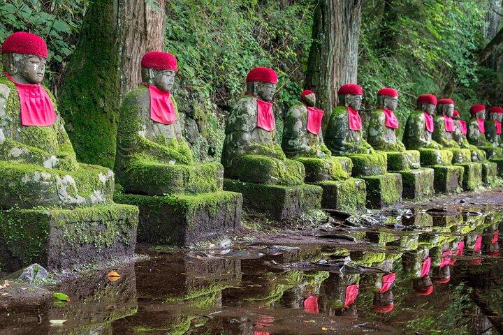 Tour privato di Nikko con Guida (da Tokyo)