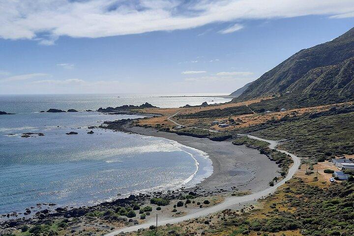 Martinborough Wine and Wild Coast Tour from Wellington
