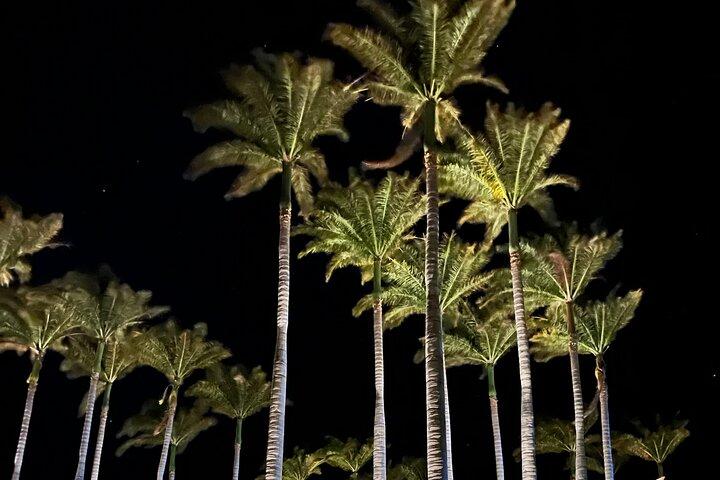 Tour privato intorno all'isola delle Hawaii