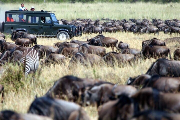 7 Days Breathtaking Kenya Big 5 Wildlife Safari