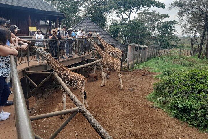 ナイロビのキリンセンターガイドツアー