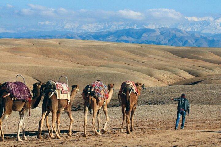 Découvrez une balade à dos de chameau et un quad avec une journée au spa à Marrakech