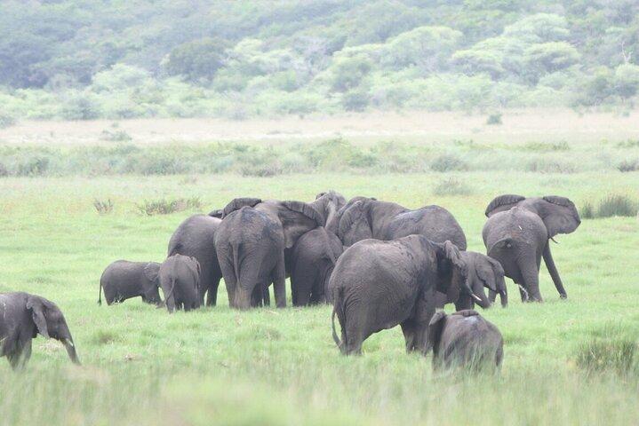 2-daagse tour in Maputo National Park (Maputo Special Reserve)