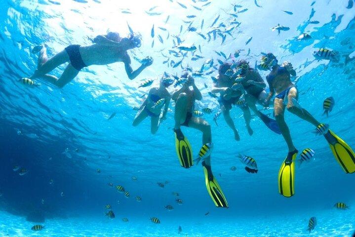 Tour di snorkeling di un'intera giornata a White Island e Ras Mohamed