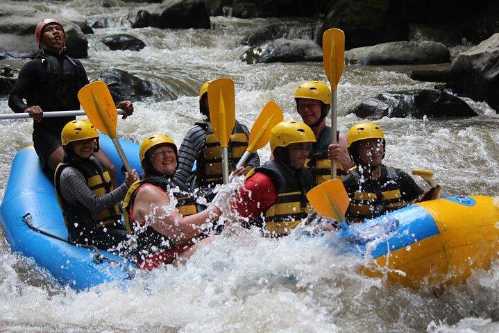 Bali forsränningsäventyr vid Ayung River Bali