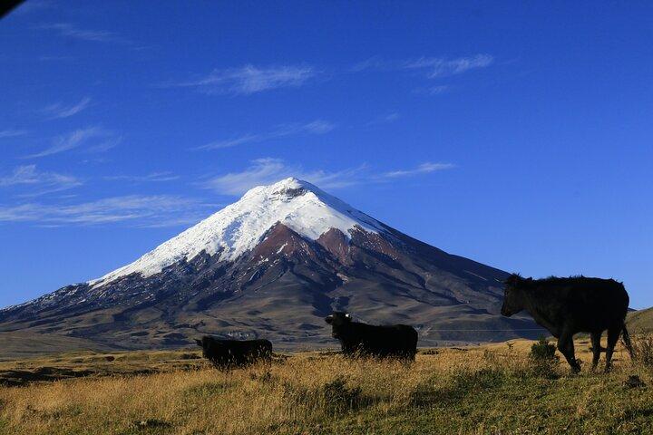 ebike Tour 4 dagen : Cotopaxi, Quilotoa, Chimborazo, Baños
