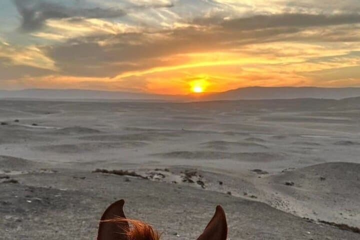 Private Horse Riding Tour in Luxor West Bank