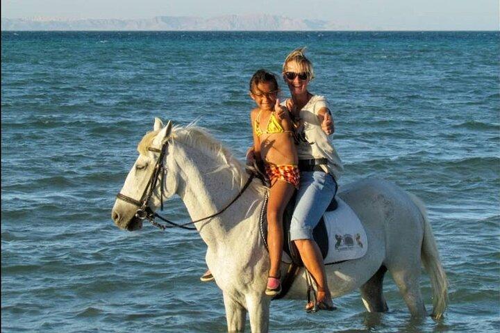 2 timers ridning i Hurghada
