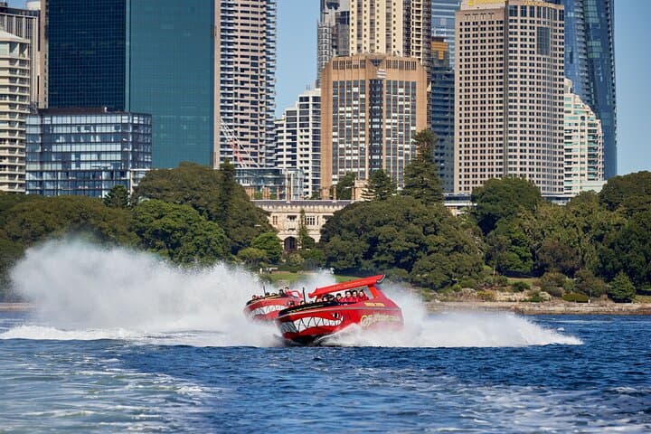 30-Minute Sydney Harbour Jet Boat Thrill Ride