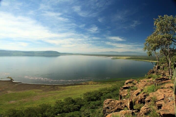 Full-Day Lake Nakuru National Park Tour With 4*4 Vehicle