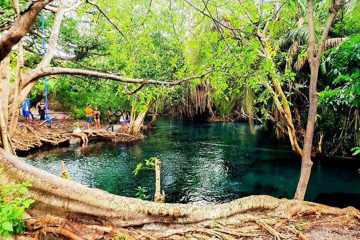 Excursión privada de un día a las aguas termales de Chemka y la vida silvestre de Serval
