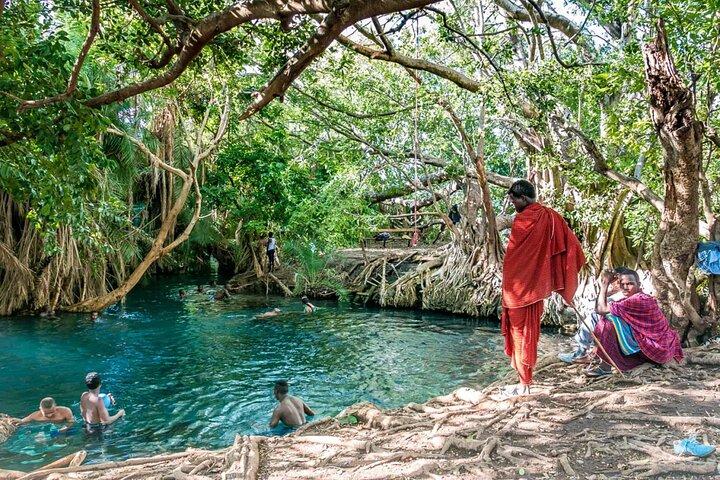 Excursión privada de un día a las aguas termales de Chemka y la vida silvestre de Serval