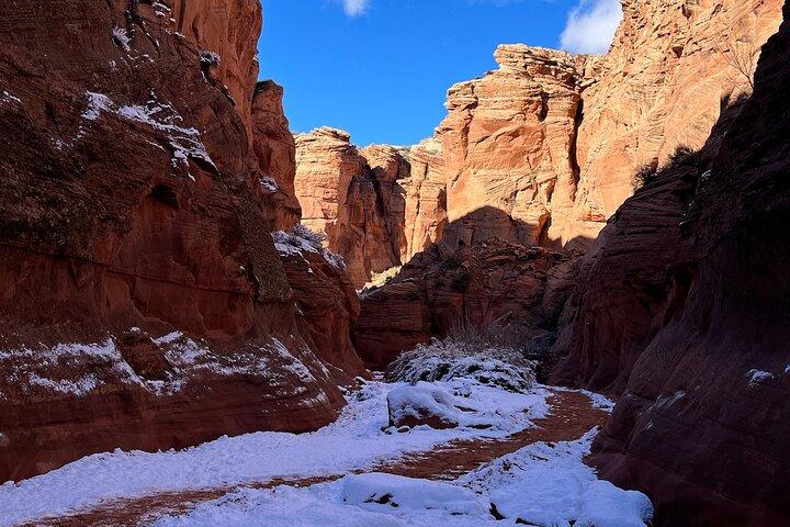 Heldags Lower Antelope Canyon og Horseshoe Bend i Las Vegas