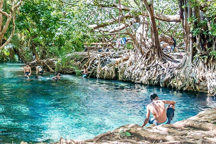 Excursión privada de un día a las aguas termales de Chemka y la vida silvestre de Serval