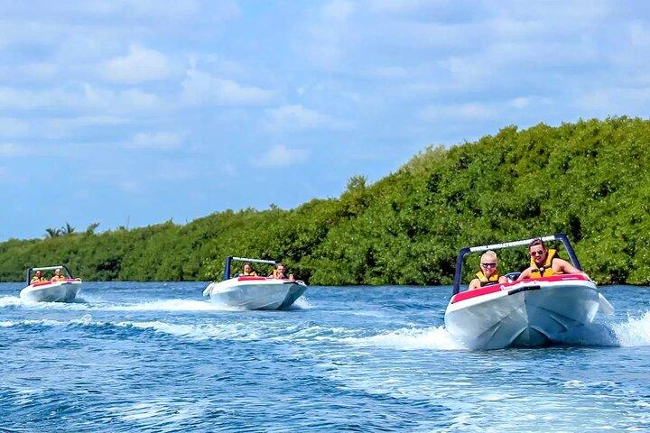 Excursion dans la jungle partagée en bateau rapide + expérience de plongée à Cancún