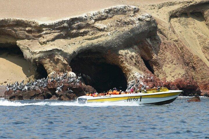 Excursão privada de dia inteiro a Paracas, Ica e Huacachina a partir de Lima