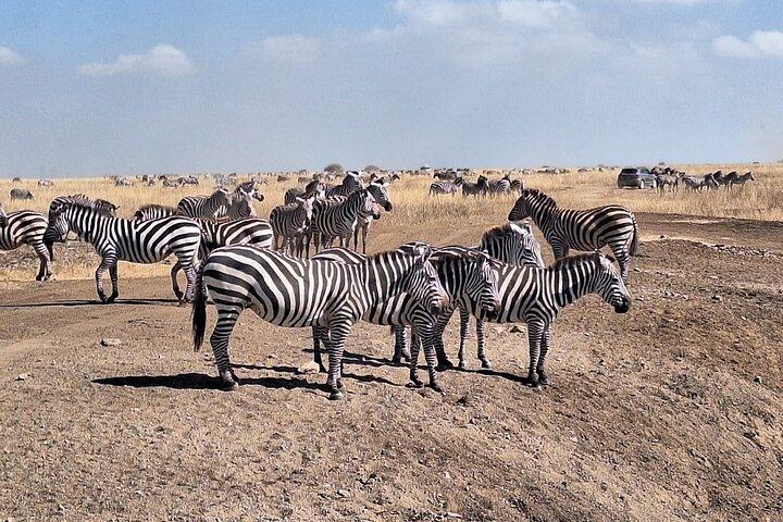 Parque Nacional de Nairobi, Orfanato de Elefantes e Centro de Girafas