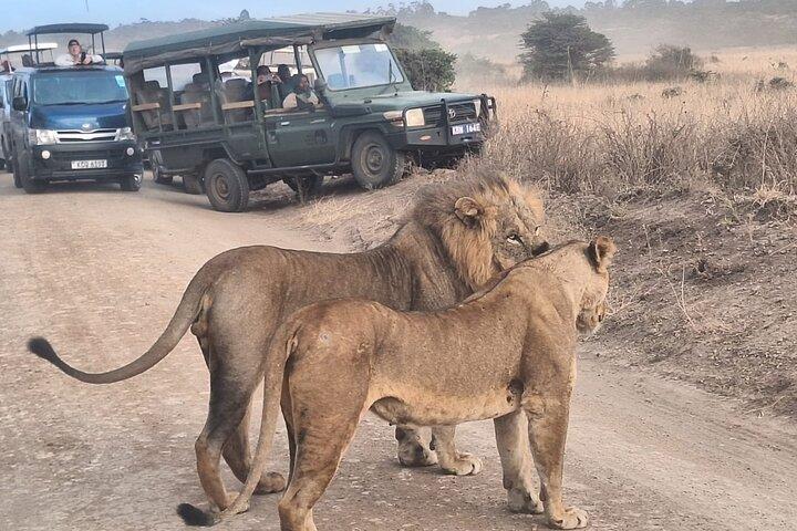Parque Nacional de Nairobi, Orfanato de Elefantes e Centro de Girafas