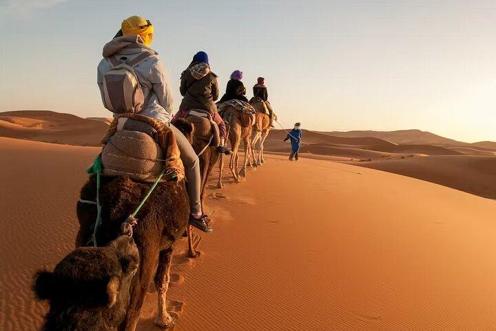 Discover Tangier's Best: Full-Day Private Tour with Local Guide
