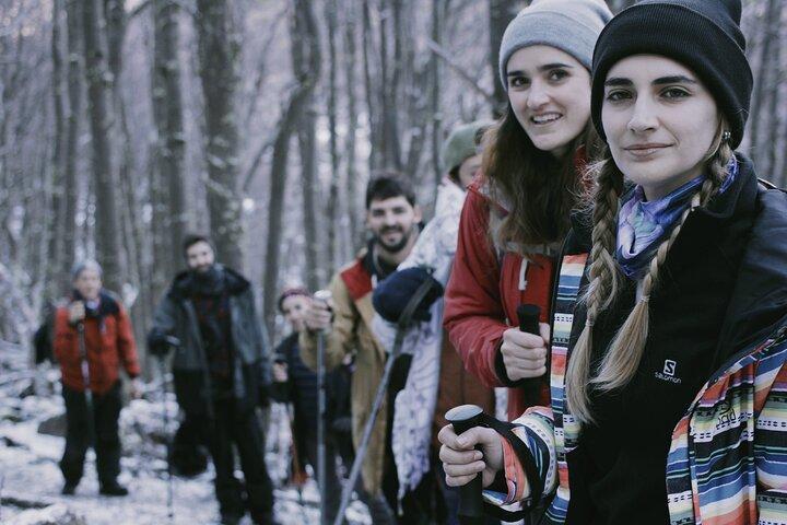 Trekking reduzido Glaciar Vinciguerra e Lagoa Tempanos
