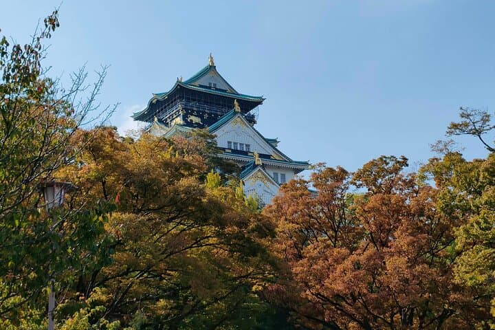 Ultimate Osaka Walking Tour: Castle, Dotonbori, Gems & Lunch
