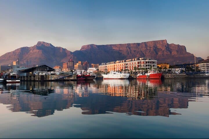 Combo Marine Wildlife Cruise & Cape Point Full Day Tour in CT