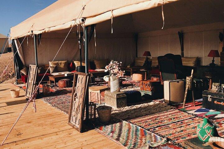 Sharm El Sheikh Desert Safari with Bedouin Dinner & Camel Ride