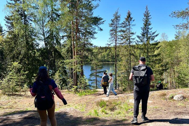 Nationaal parkwandeling & Finse rooksauna-ervaring met kampvuurlunch