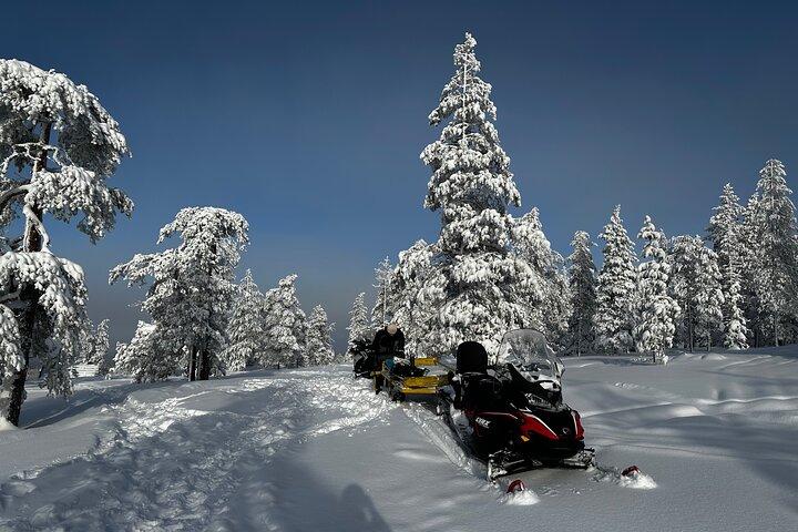 Norrskenstur Snöskoterkörning