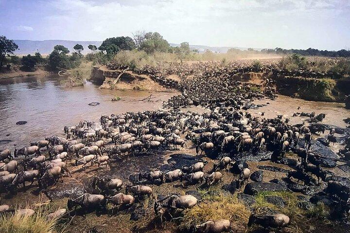 Pacchetto Safari volante Mara Sarova di 3 giorni luna di miele