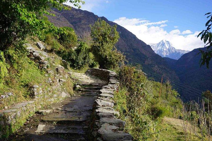 Pokhara: 4-tägiger Poon Hill Trek